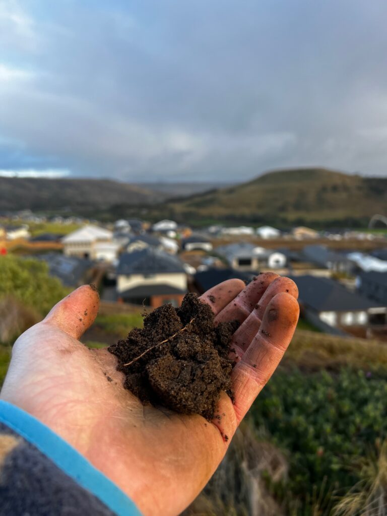 Soil Testing Glen Eira