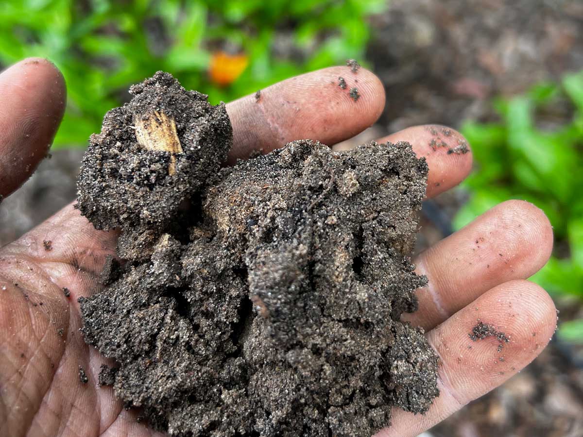 soil contamination testing